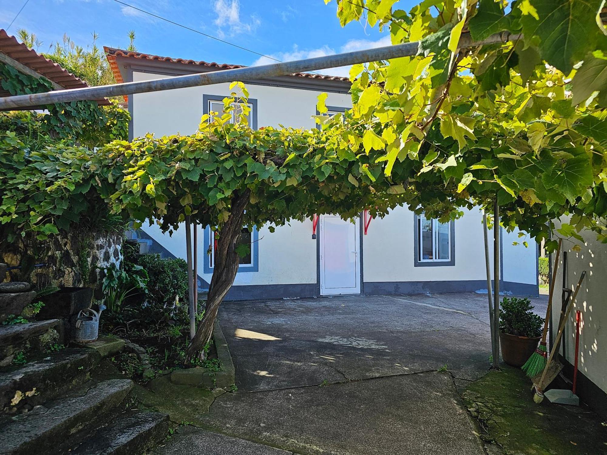 Cedros Casa Anjos Holiday Cottages מראה חיצוני תמונה