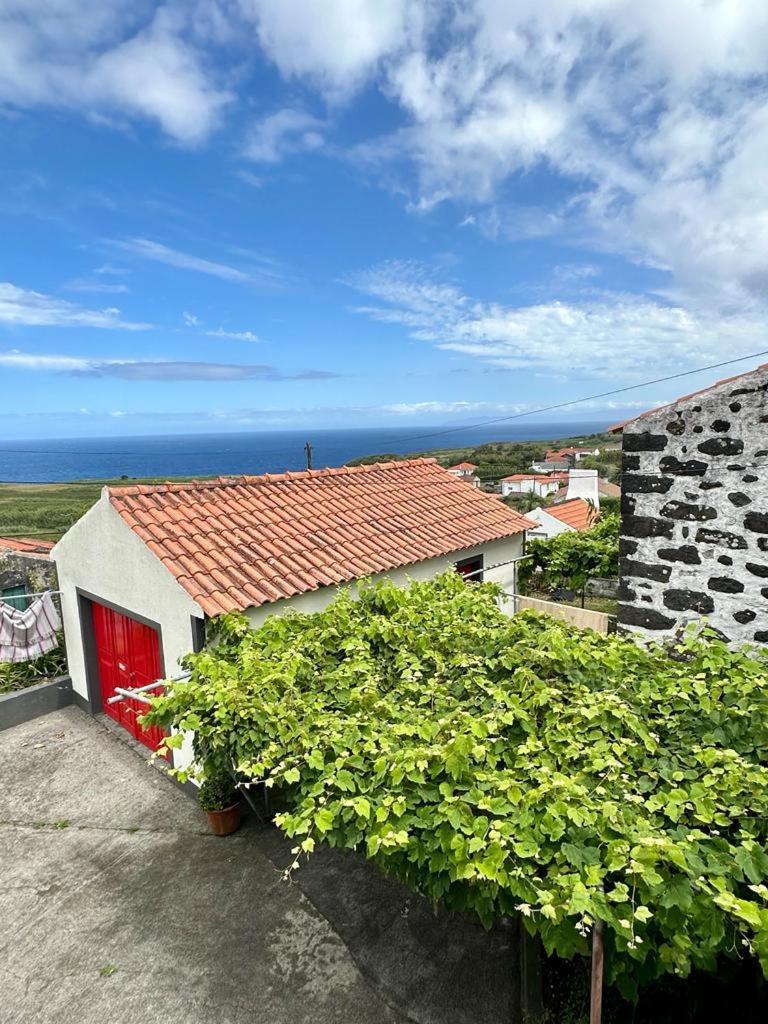 Cedros Casa Anjos Holiday Cottages מראה חיצוני תמונה
