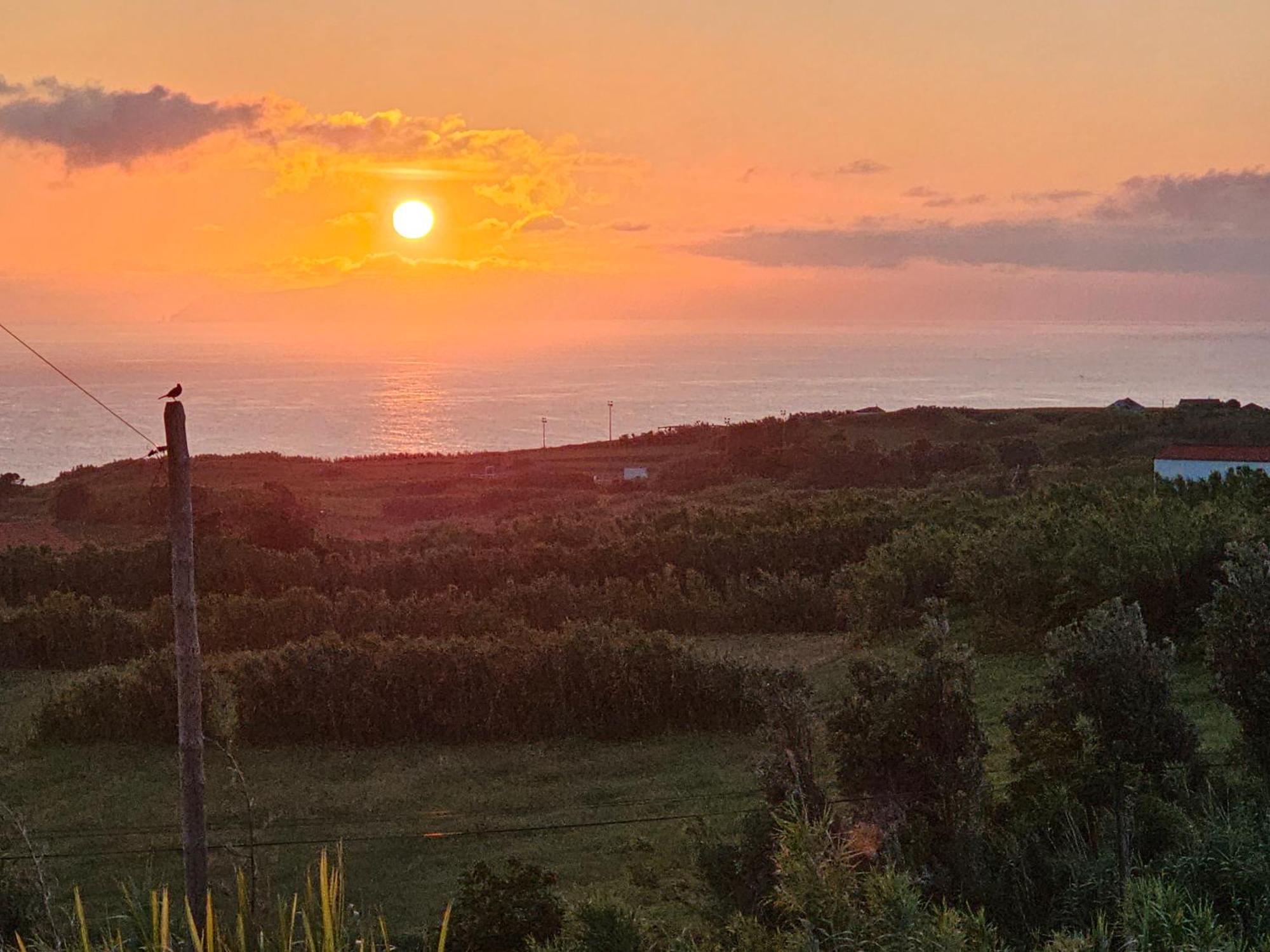 Cedros Casa Anjos Holiday Cottages מראה חיצוני תמונה