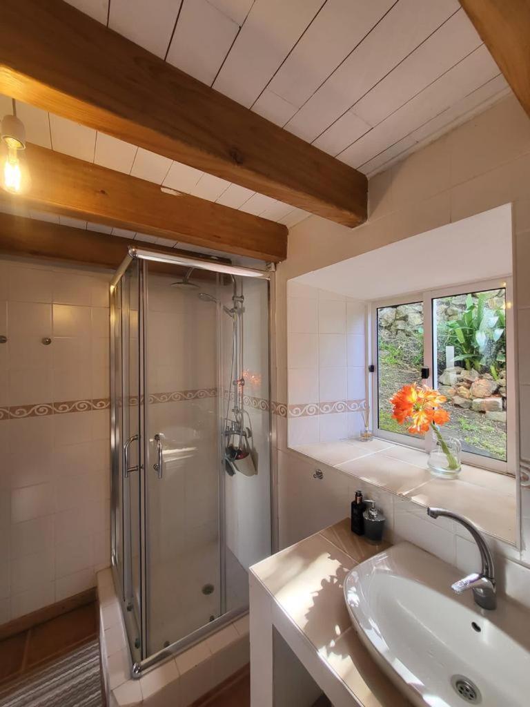 Cedros Casa Anjos Holiday Cottages מראה חיצוני תמונה