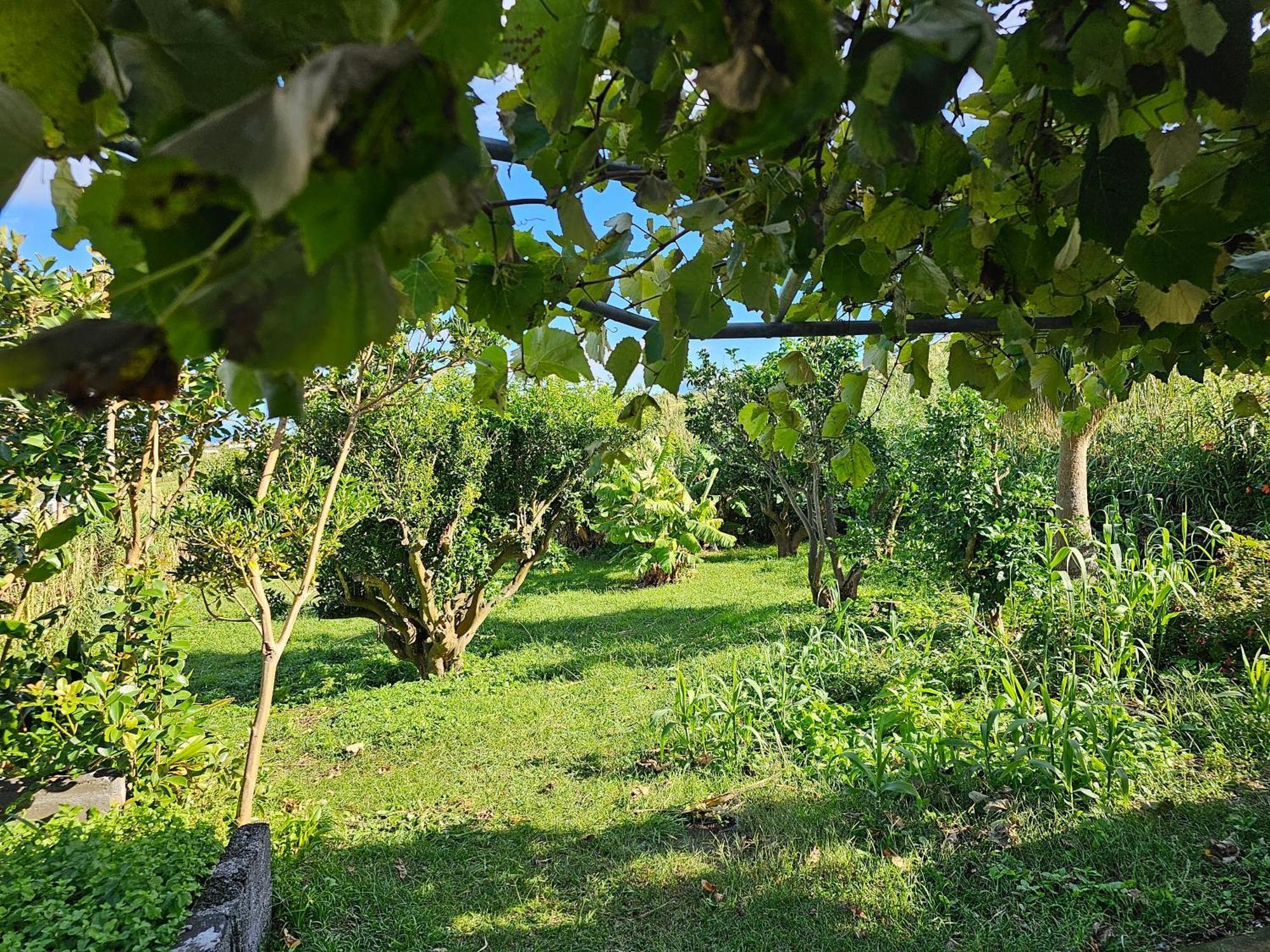 Cedros Casa Anjos Holiday Cottages מראה חיצוני תמונה