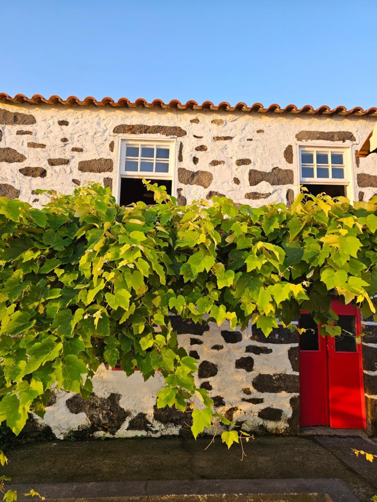 Cedros Casa Anjos Holiday Cottages מראה חיצוני תמונה