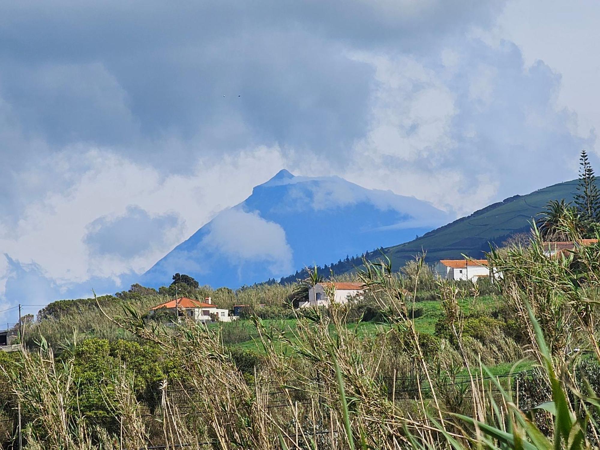Cedros Casa Anjos Holiday Cottages מראה חיצוני תמונה